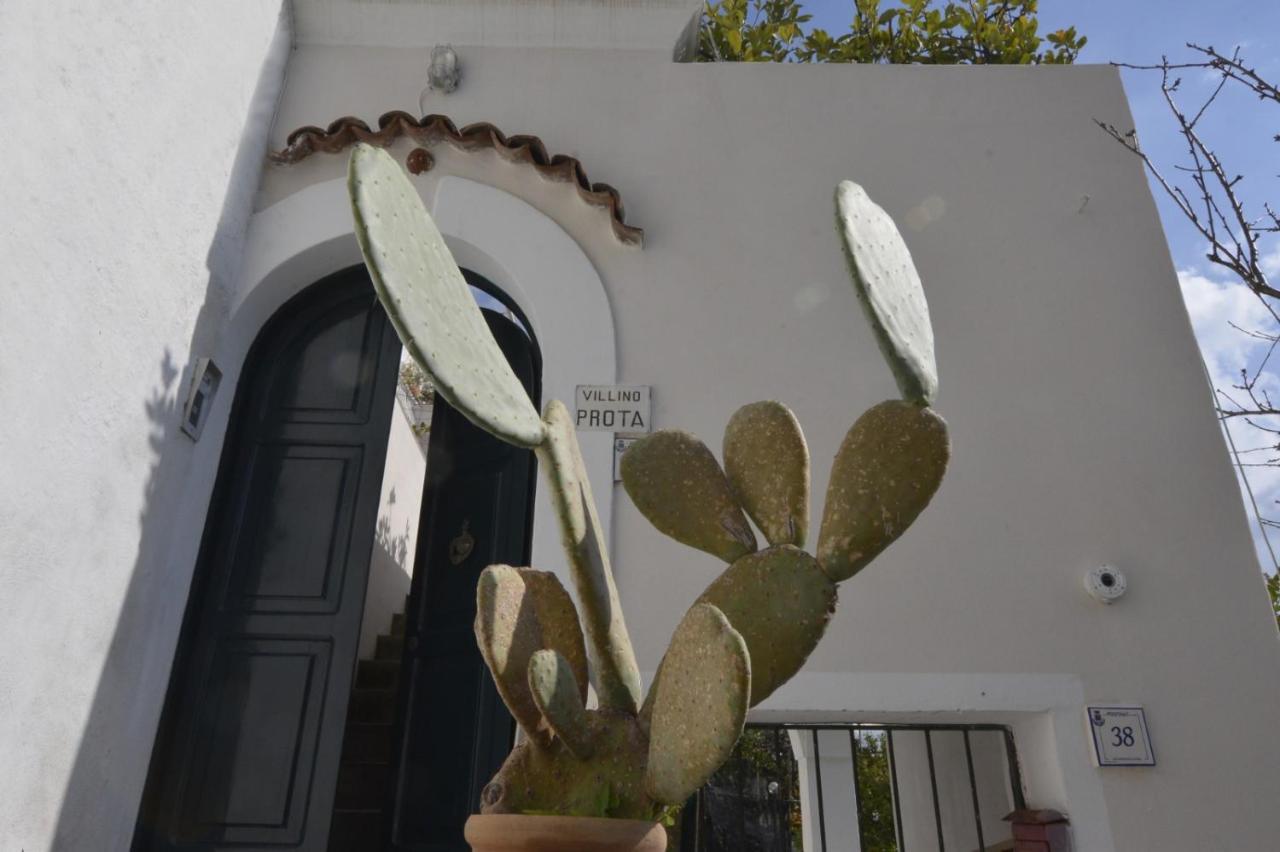 Villino Prota, Villa Ridente Con Panorama Mozzafiato 포지타노 외부 사진